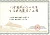2009新中國成立六十百項(xiàng)經(jīng)典精品工程證書